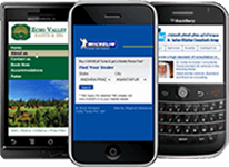 Millions use their phones to browse the internet – does your business have a mobile site?